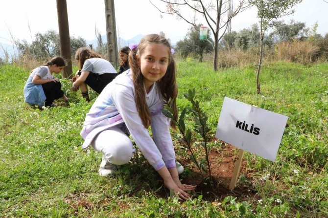 Minik Eller Fidanları Deprem Anısına Dikti