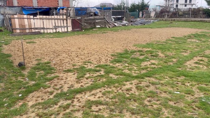 Arnavutköy’de Boş Arsadaki Yüzlerce Karınca Yuvası Görenleri Şaşkına Çevirdi
