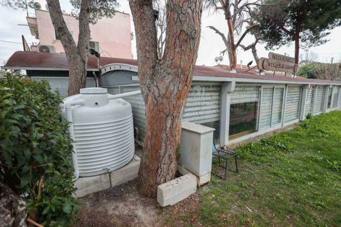 İ̇zmir Buca’da "Yağmur Suyu Hasadı" Projesi Başladı