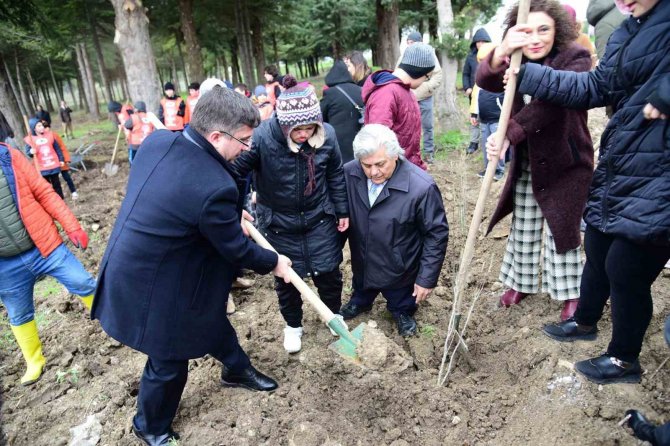 Down Sendromlu Bireyler Baün’de Fidan Diktiler