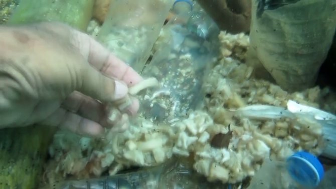 Konyaaltı’nda Denizin Dibinde Yakışmayan Görüntüler