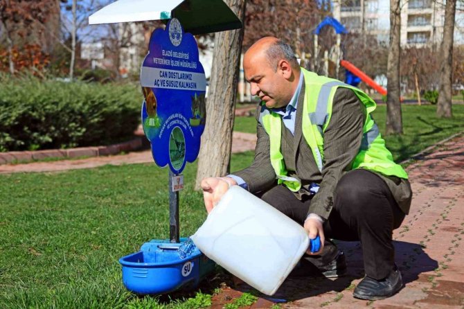 Elazığ Belediyesi, Ramazan Ayı Öncesi Sokak Hayvanlarını Unutmadı