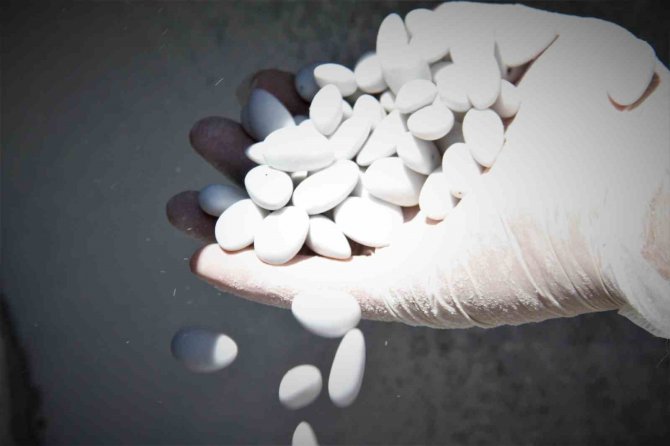 Elazığ’da Bademin Badem Şekerine Yolculuğu Başladı