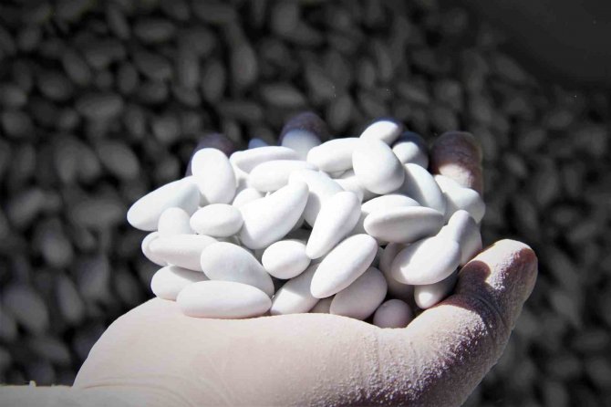 Elazığ’da Bademin Badem Şekerine Yolculuğu Başladı