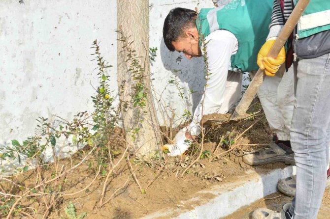 Esenyurt’ta Parklar Yaza Hazırlanıyor