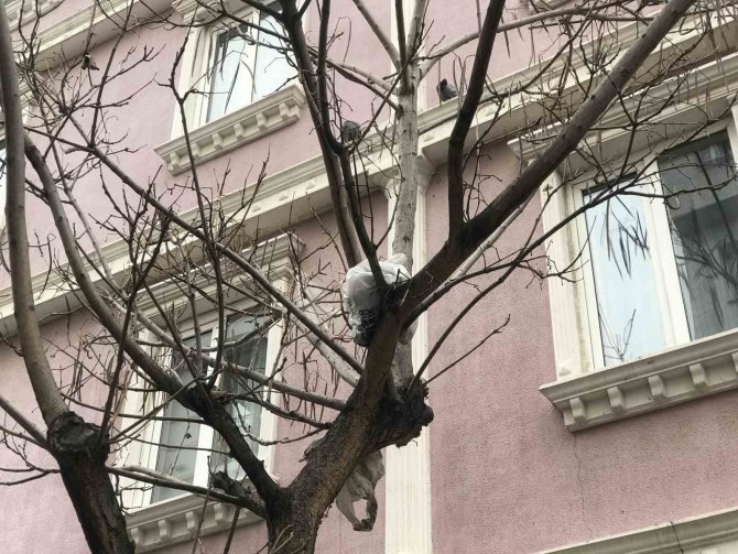 Bu Ağacın Meyvesi Çöp Poşetleri