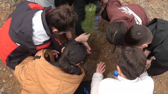 43 İlin Geçiş Güzergahı Fidanlarla Yeşerecek: Yüzlercesi Toprakla Buluşturuldu