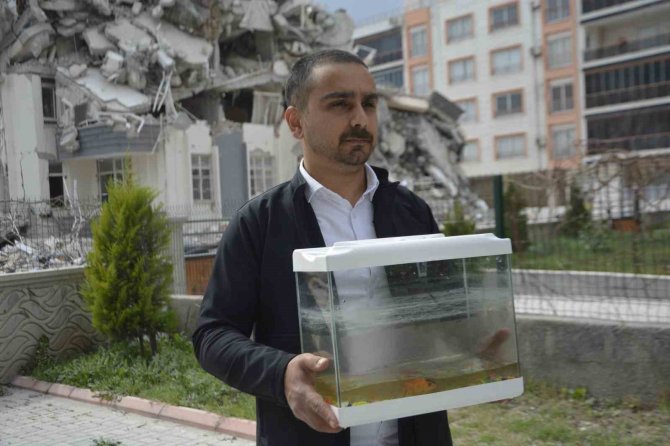 Depremde Öldü Diye Düşündükleri Balıkları 44 Gün Sonra Canlı Bulundu