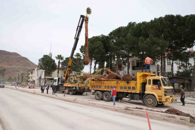Marmaris’te Palmiyeler Toprakla Buluştu