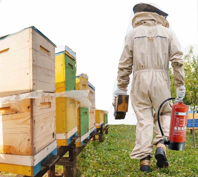 Arıcılara Yangın Tüpü Zorunluluğu