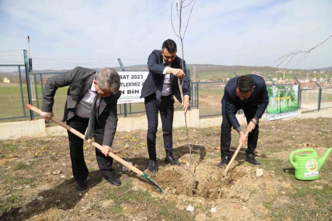 Depremde Hayatını Kaybedenler Anısına Fidan Diktiler