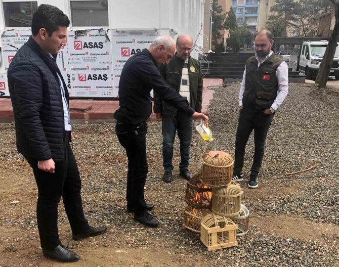Siirt’te Kaçak Avcılardan Ele Geçirilen Kafesler İmha Edildi