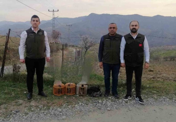 Siirt’te Kaçak Avcılardan Ele Geçirilen Kafesler İmha Edildi