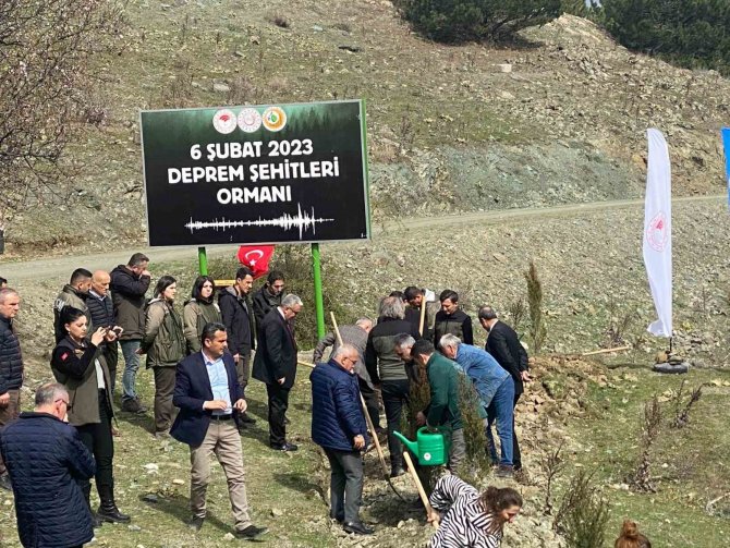 Tokat’ta “Deprem Şehitleri Hatıra Ormanına” 2 Bin Fidan Dikildi
