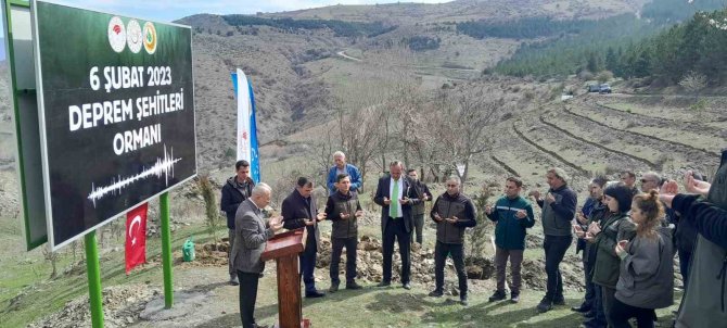 Tokat’ta “Deprem Şehitleri Hatıra Ormanına” 2 Bin Fidan Dikildi