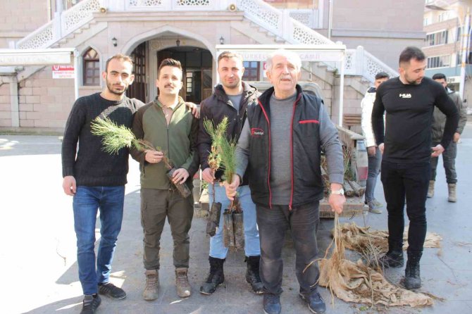 Türkeli’de Vatandaşlara 6 Bin Fidan Dağıtıldı