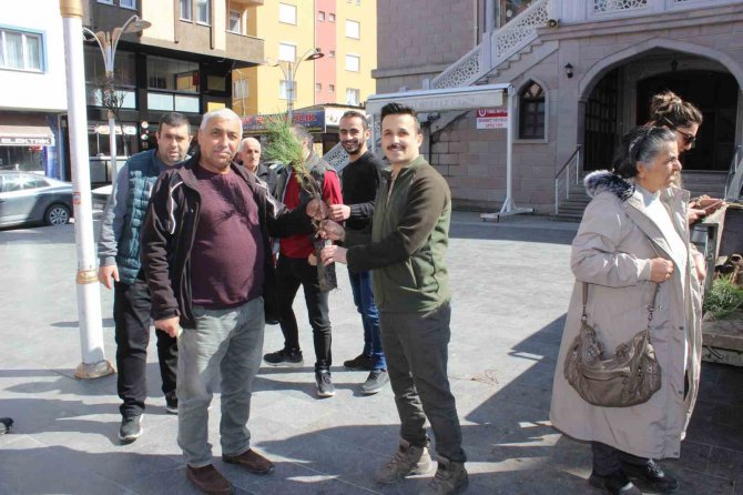 Türkeli’de Vatandaşlara 6 Bin Fidan Dağıtıldı