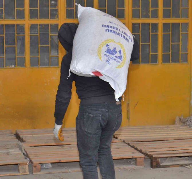 Elbistan’da Üreticilere Yüzde 75’i Hibe Destekli Nohut Tohumu Dağıtıldı