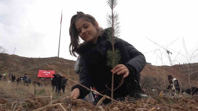 43 İlin Geçiş Güzergahı Fidanlarla Yeşerecek: Yüzlercesi Toprakla Buluşturuldu