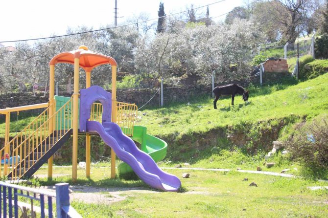 Çocukların Yokluğunda Parklar Eşeklere Kaldı