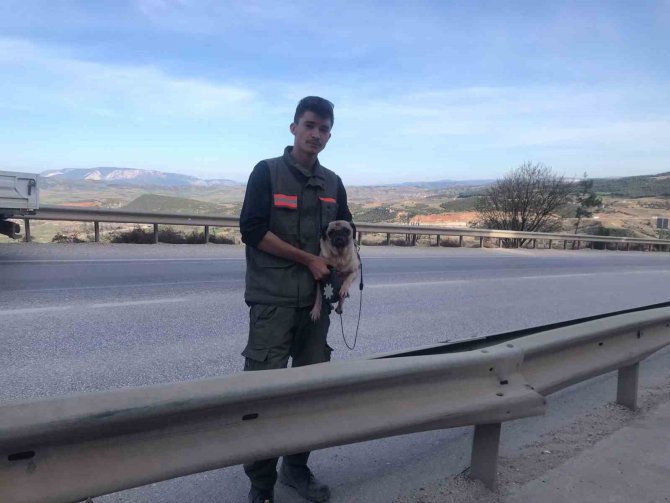Bilecik’te Kontrolden Çıkan Otomobil Demir Bariyerlere Çarptı