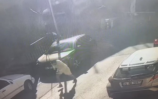 İ̇stanbul’da Film Gibi Silahlı Saldırı Kamerada: Brezilyalı Modeli Kargocu Kılığında Vurdular