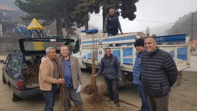 Atıl Alanlar Kestanelerle Dolacak