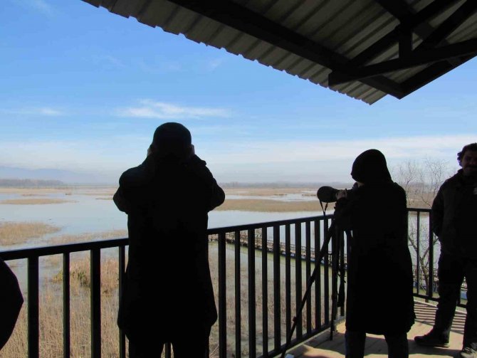Öğrenciler Efteni Gölünde Kuşları Gözlemledi