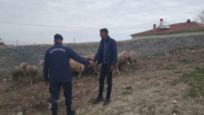 Eskişehir’de 33 Küçükbaş Hayvan Dron Desteğiyle Bulundu