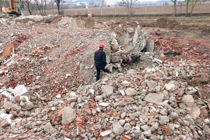 Bozkurt’taki Sel Felaketinde Görev Alan “Garip”, Deprem Bölgesinde De Enkaz Altındaki Vatandaşların Kurtarılmasını Sağladı
