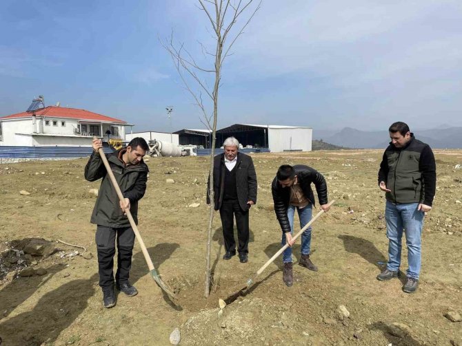 ‘6 Şubat 2023 Deprem Şehitleri Ormanı’na Fidan Dikti