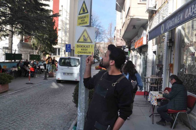 Hız Yapan Duyarsız Sürücüler İçin “Dikkat Kedi Çıkabilir” Yazılı Önlem