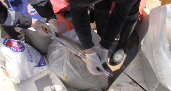 Prof. Dr. Veysel Eroğlu Ilısu Barajı’nda Balık Stok Verim Tahmin Çalışmaları Yapıldı