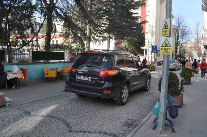 Hız Yapan Duyarsız Sürücüler İçin “Dikkat Kedi Çıkabilir” Yazılı Önlem