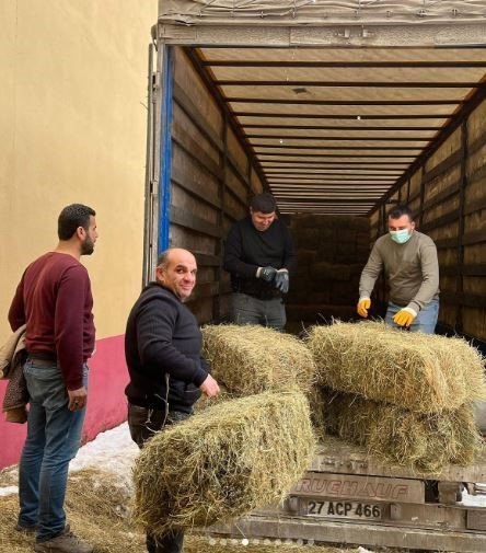 Ardahan’dan Deprem Bölgesine Saman, Yem Ve 79 Adet Küçükbaş Hayvan Gönderildi