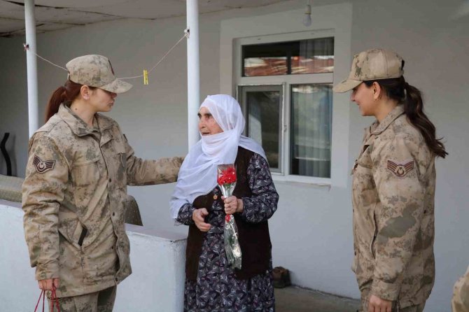 Jandarma Asırlık Çınarları Unutmadı