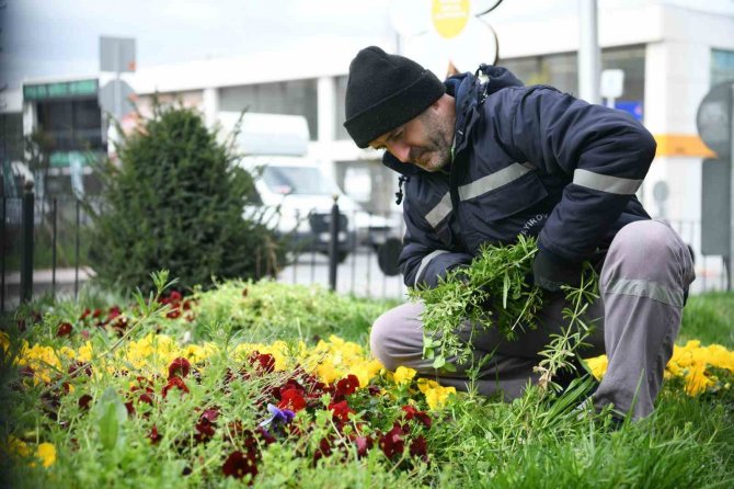 Çayırova’da Bahar Hazırlığı