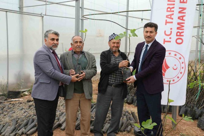“Sarıcakaya’da İ̇ncir Yetişiyor” Projesi