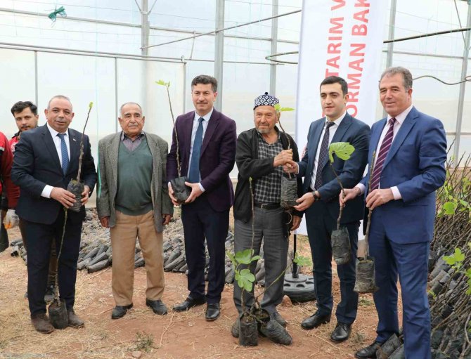 “Sarıcakaya’da İ̇ncir Yetişiyor” Projesi