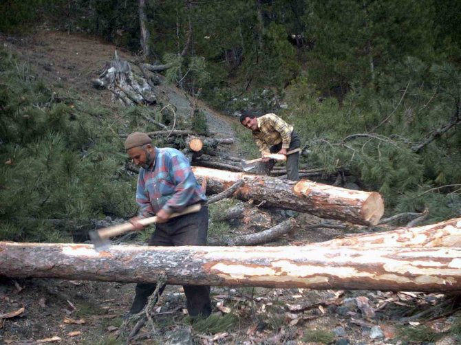 Orman Köylüsüne Yüzde 70 İndirim