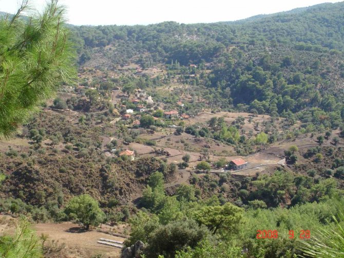 Orman Köylüsüne Yüzde 70 İndirim