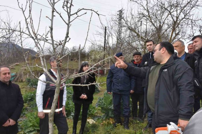 Sinop’ta Çiftçilere Uygulamalı Budama Eğitimi