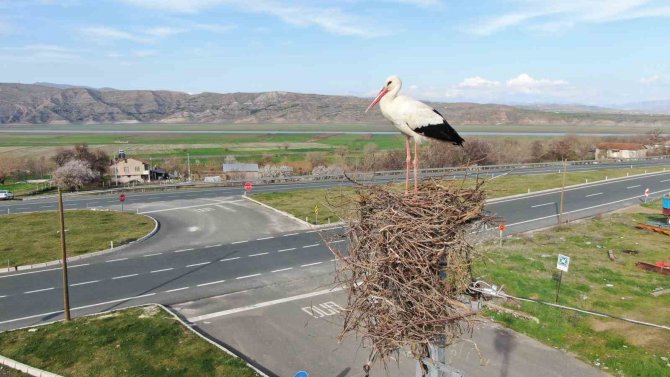 Baharın Müjdecisi Leylekler Yuvalarına Döndü