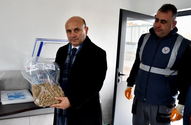 Yalova Altınova’da Atık Yemekler Yüksek Kaliteli Mamaya Dönüşüyor