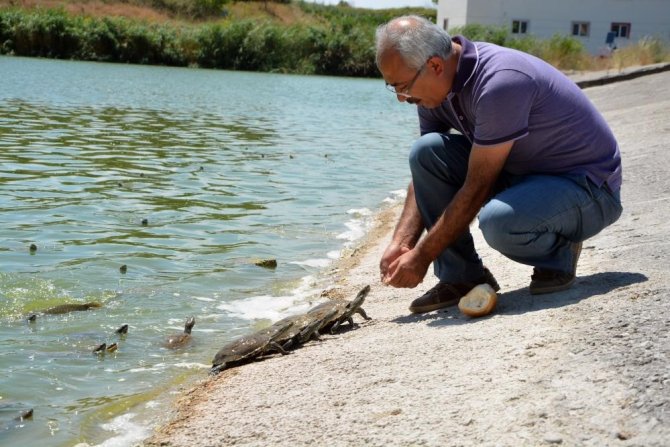 Baün’e Botanik Bahçesi Kuruluyor