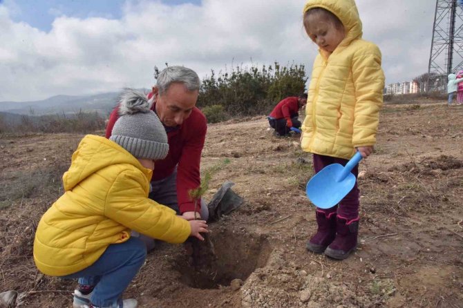 Kreş Öğrencileri Fidanları Toprakla Buluşturdu