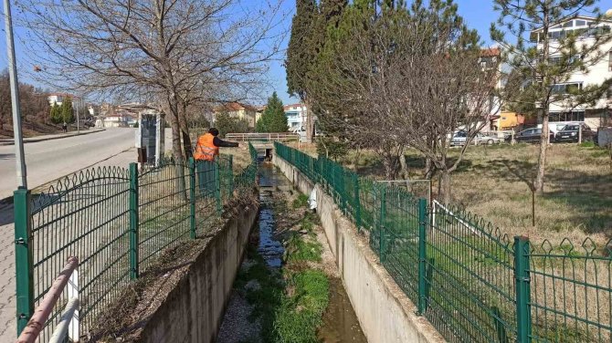 Gediz’de Larva İle Mücadele Devam Ediyor