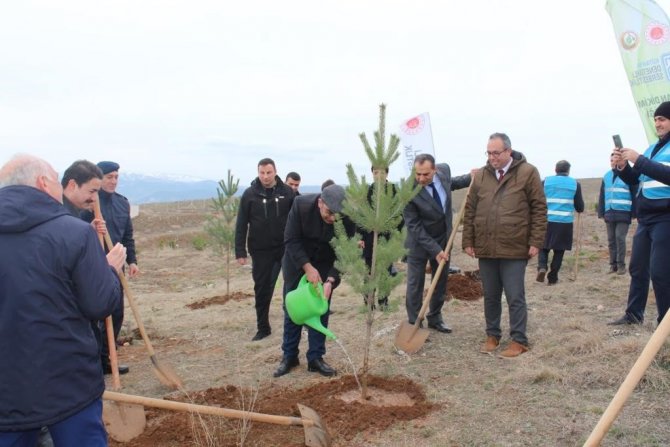 Kütahya Adalet Ormanında Ağaçlandırma Etkinliği