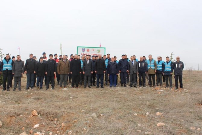 Kütahya Adalet Ormanında Ağaçlandırma Etkinliği