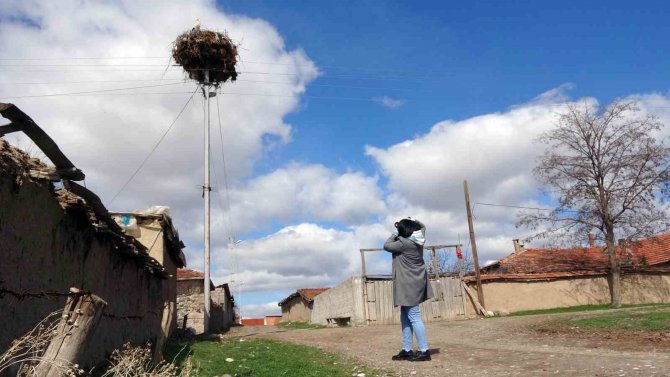 Göçmen Köy, Göçmen Kuşları 60 Yıldır Misafir Ediyor